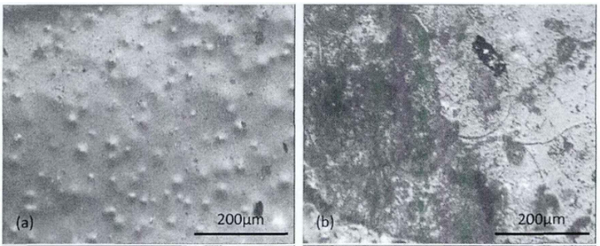 led模組恒溫恒濕試驗(yàn)箱對(duì)led的濕熱老化實(shí)驗(yàn)(圖3)