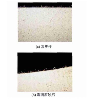 低空載人飛行器霉菌實驗箱對飛行汽車樣品的試驗研究(圖3) 低空載人飛行器霉菌實驗箱對飛行汽車樣品的試驗研究(圖3)