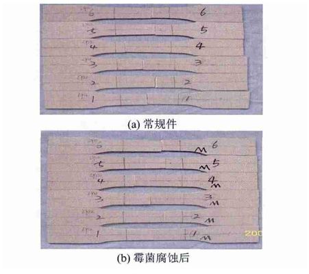 低空載人飛行器霉菌實驗箱對飛行汽車樣品的試驗研究(圖4) 低空載人飛行器霉菌實驗箱對飛行汽車樣品的試驗研究(圖4)